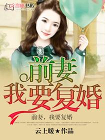 天价前妻封面
