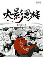 火影之忍传封面