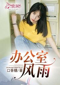 办公室风雨封面