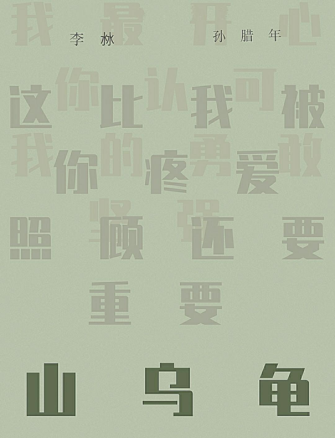 山乌龟封面