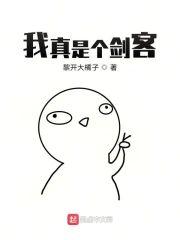 我真是个剑客封面