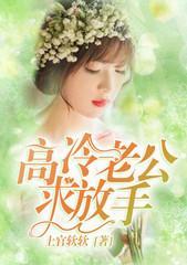 高冷老公，求放手！封面