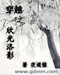 穿越之欣光洛影封面