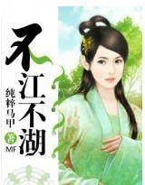 不江不湖封面