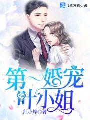 第一婚宠叶小姐封面
