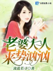 老婆大人来势汹汹封面