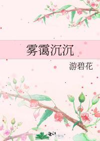 雾霭沈沈封面