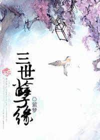 三世孽缘封面