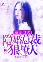 娇妻似火：隐婚总裁狠撩人！封面