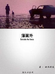 藩篱外封面
