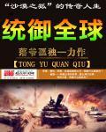 统御全球封面