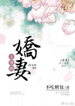 王爷的娇妻（重生）封面