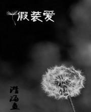 假装爱封面
