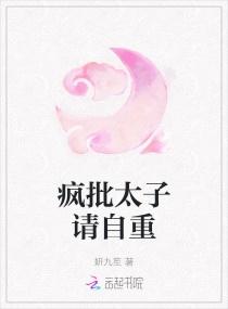 疯批太子请自重封面