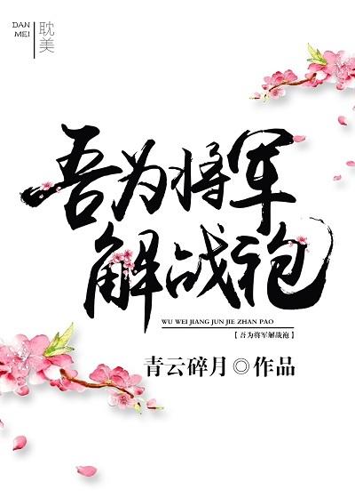 吾为将军解战袍封面
