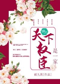 天下权臣是一家封面