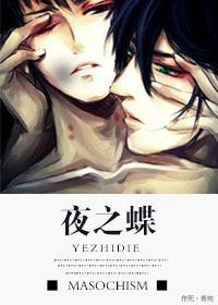 夜之蝶封面