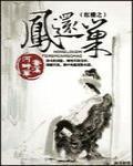 红楼之凤还巢封面