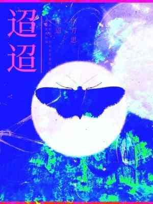 迢迢封面