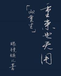 重来也无用（双重生）封面