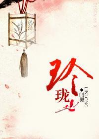 玲珑封面