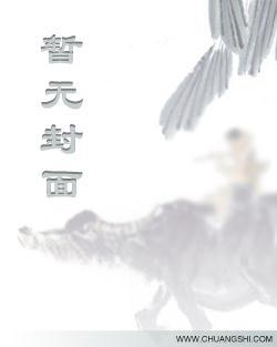 九州鸣镝录封面