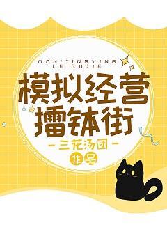 模拟经营擂钵街封面