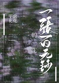 一张百元钞的一生封面