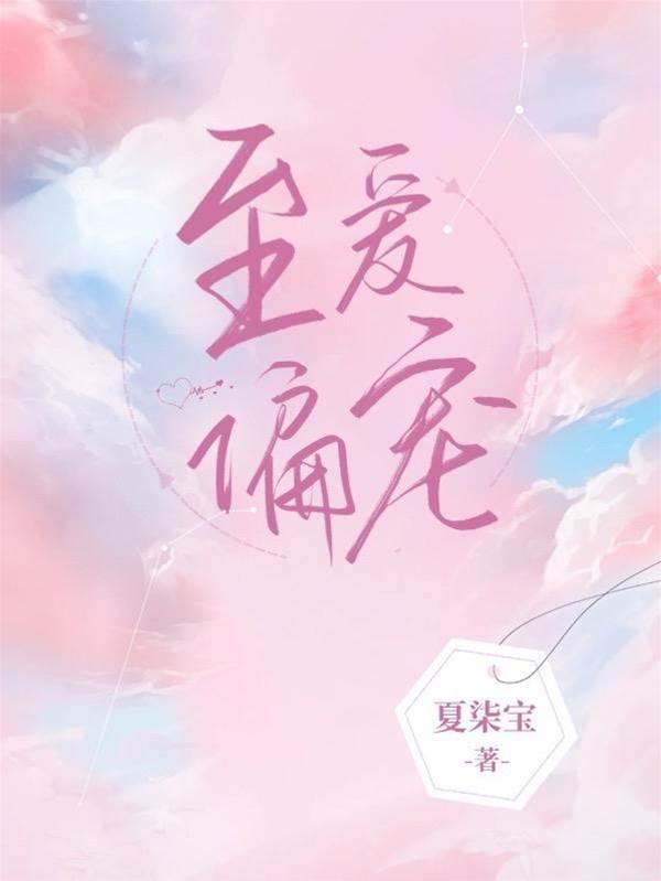 至爱偏宠封面