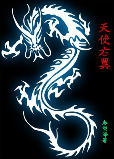 天使右翼封面