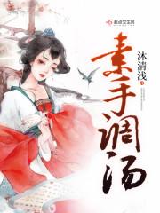 素手调汤封面