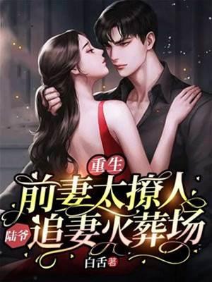 重生前妻太撩人，陆爷追妻火葬场封面