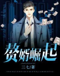赘婿崛起封面