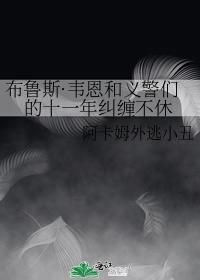 布鲁斯·韦恩和义警们的十一年纠缠不休封面