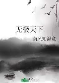 无极天下封面
