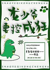 龙少爷妻控成狂封面