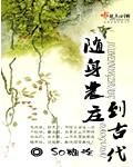 随身农庄到古代封面