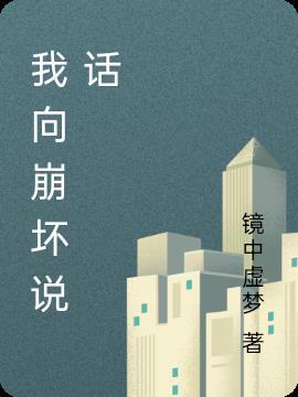 我向崩坏说话封面