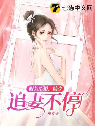 假装结婚，陆少追妻不停封面
