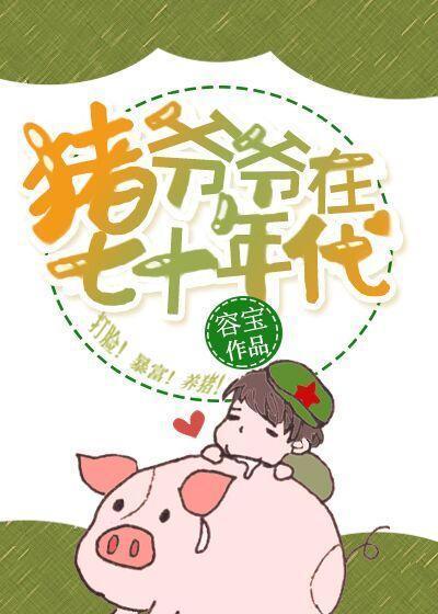 猪爷爷在七十年代封面