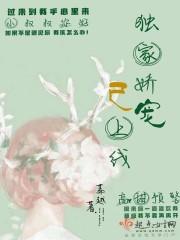 独家娇宠已上线封面