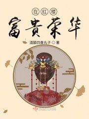 在红楼富贵荣华封面