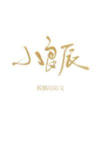 小良辰封面
