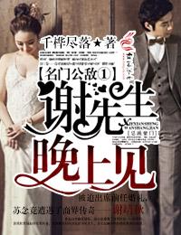 名门公敌①谢先生，晚上见！封面