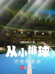从小排球开始的征途封面