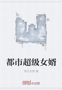 都市超级女婿傻子女婿封面