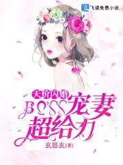 天价闪婚：BOSS宠妻超给力封面