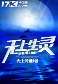 逍遥小将军封面