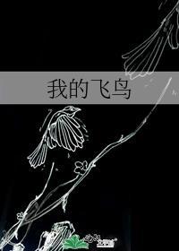 被征服的女明星封面