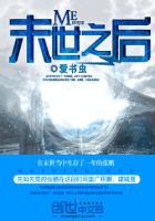 末世之后封面